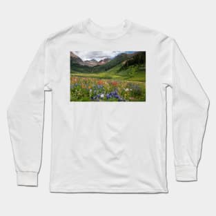 Alpine flowers in Rustler's Gulch, USA (C006/5999) Long Sleeve T-Shirt